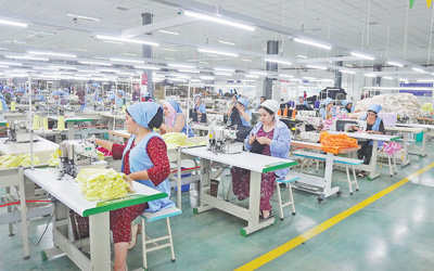 提升棉花種植技術(shù) 推動紡織工業(yè)發(fā)展